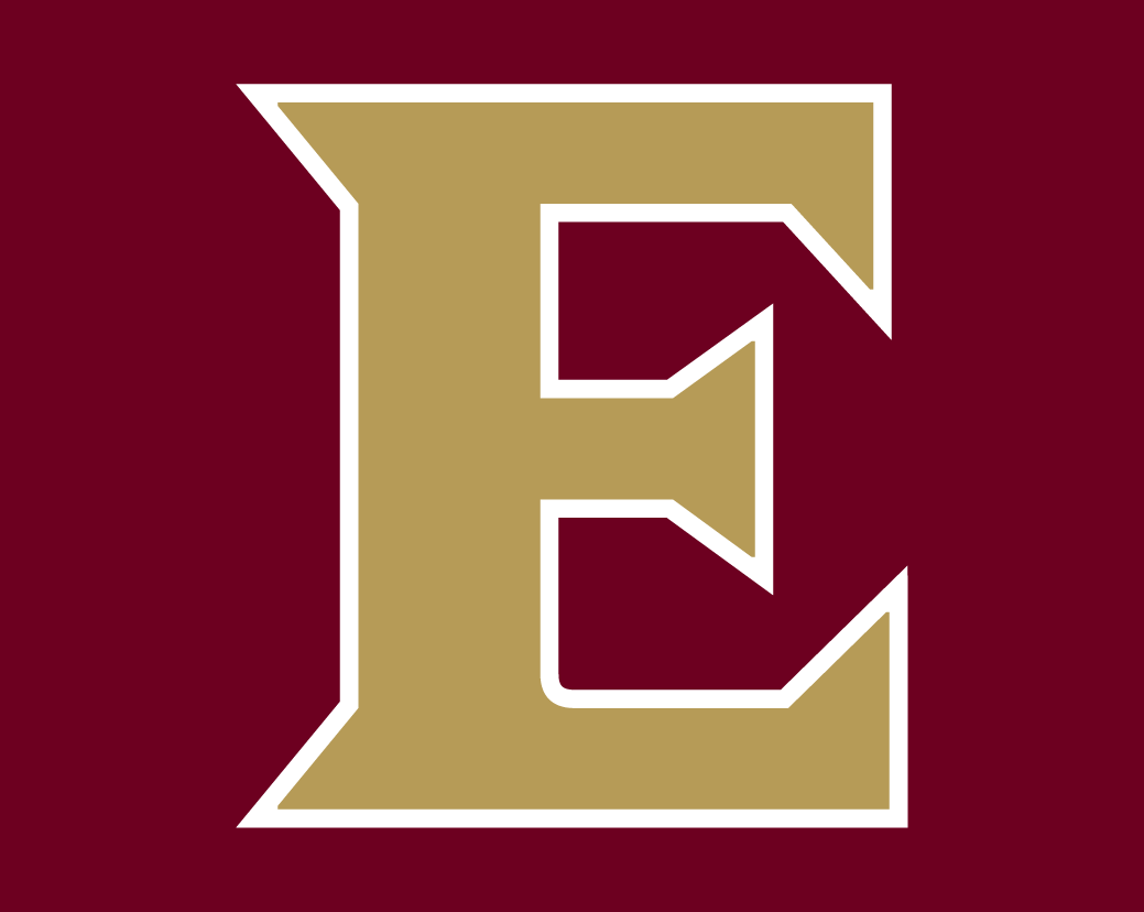 Elon Phoenix 2016-Pres Alternate Logo v2 diy iron on heat transfer